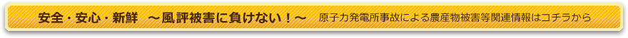 安全・安心・新鮮～風評被害に負けない～