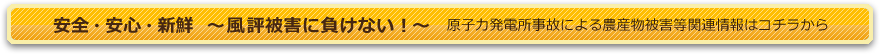 安全・安心・新鮮～風評被害に負けない～