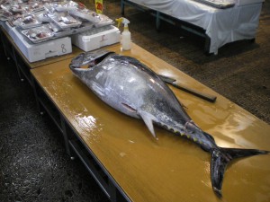 マグロ解体ショー