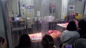 マグロの解体実演販売